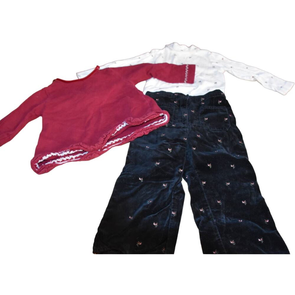 Gymboree 3 Piece Outfit, Black Velvet, Rose Print, 18-24 Months, EGU